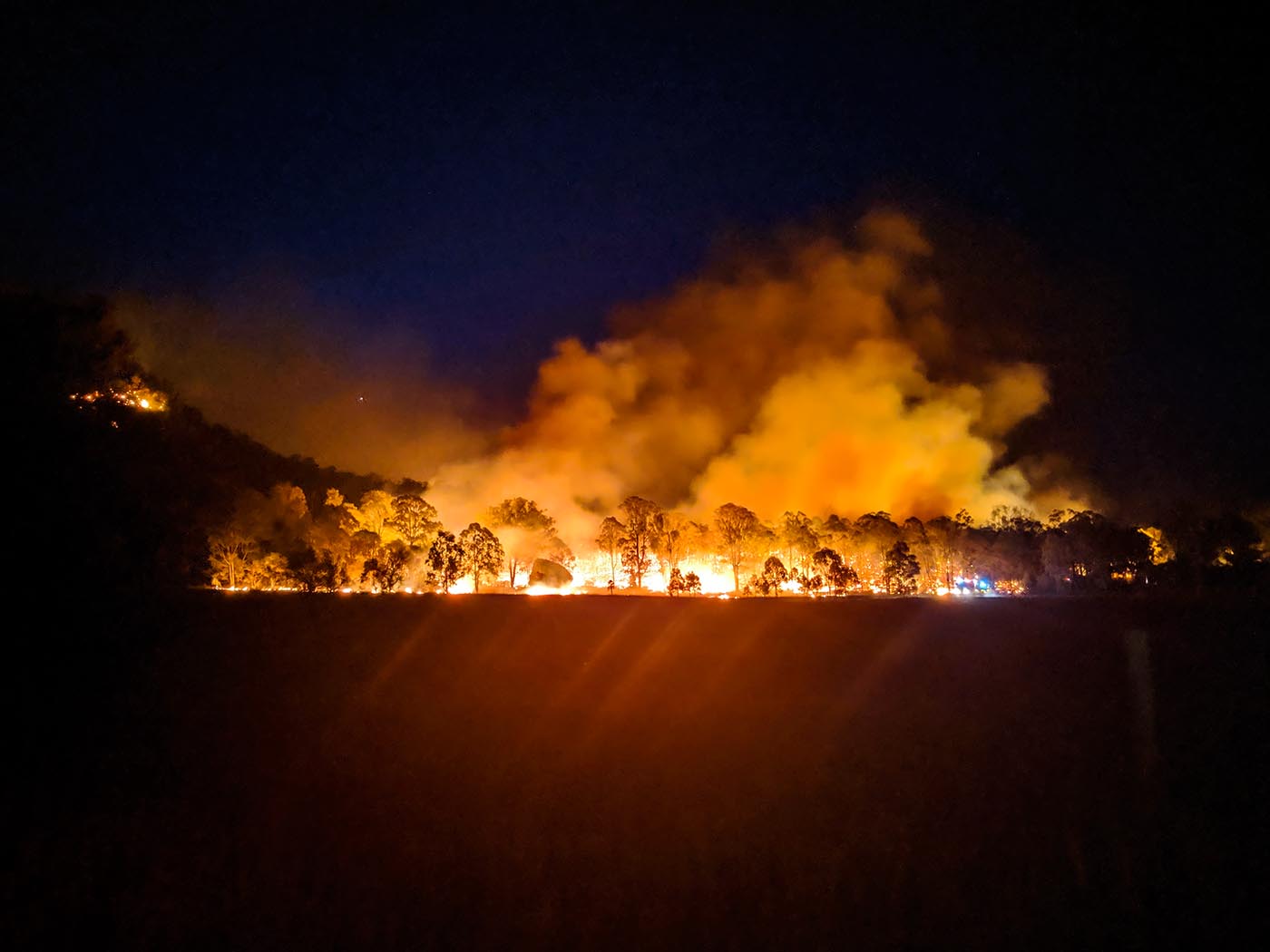 bushfires